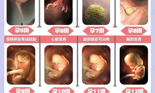 血红蛋白尿患者饮食禁忌网 :分享血红蛋白尿患者饮食禁忌有哪些-血红蛋白尿吃什么药知识